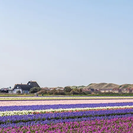 Nyaraló Pico - Aan Zee