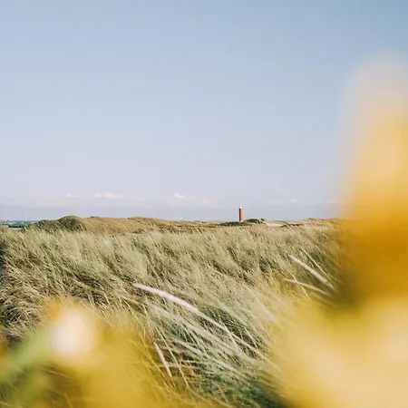 Pico - Aan Zee Holiday home *